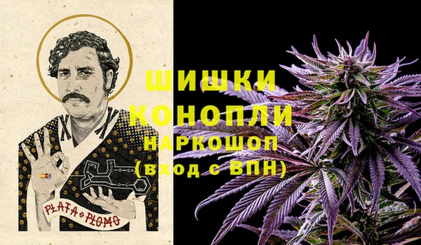 ПСИЛОЦИБИНОВЫЕ ГРИБЫ Нягань
