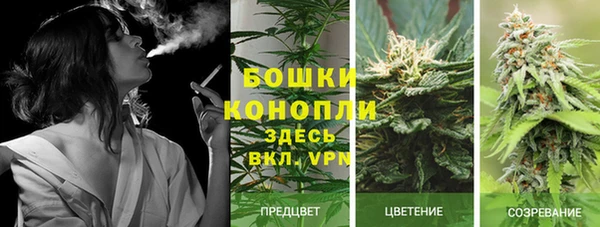 кокаин колумбия Новозыбков